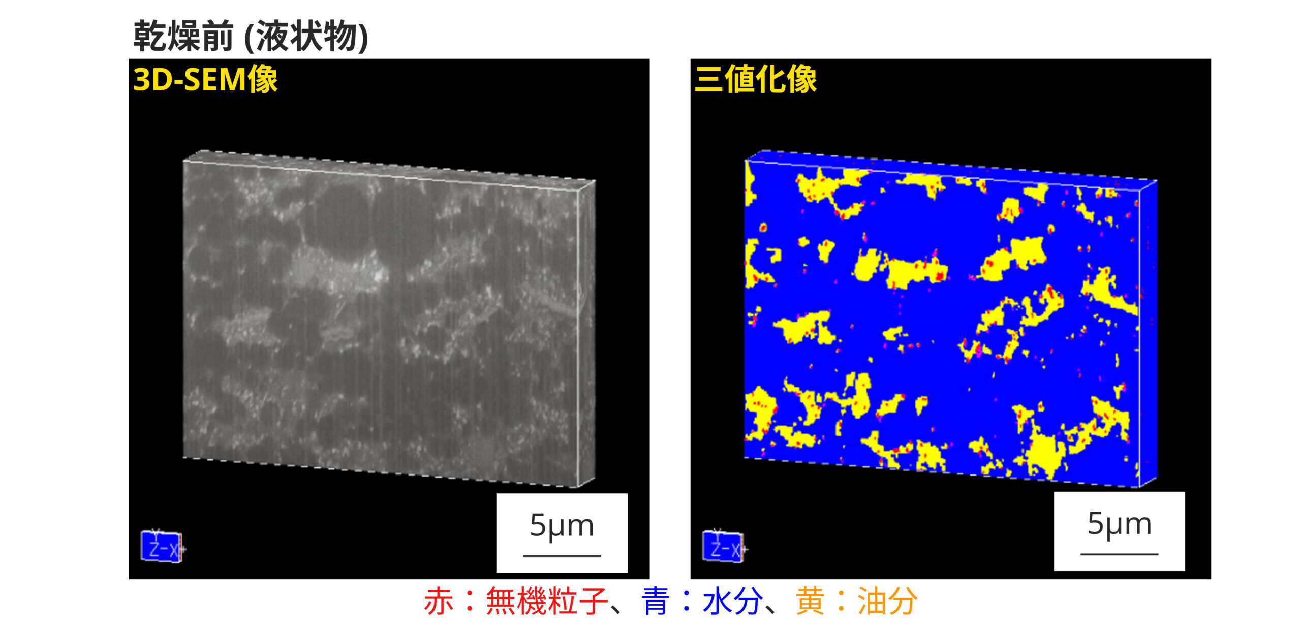 3D-SEM