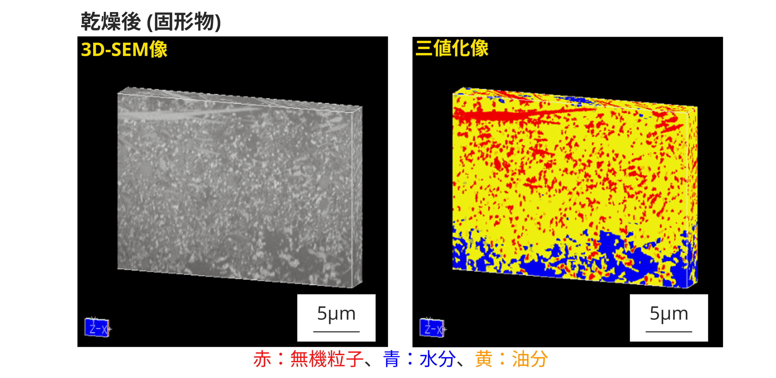 3D-SEM