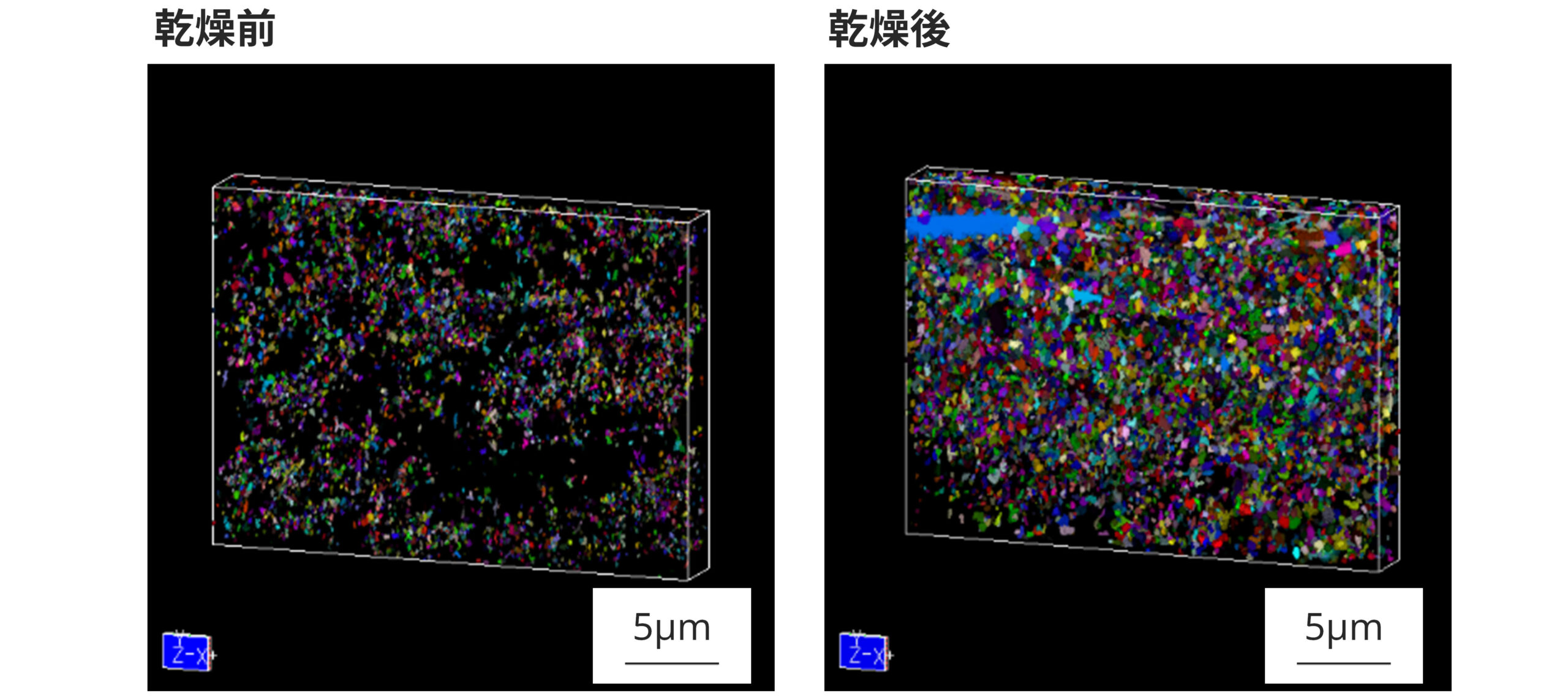 3D-SEM