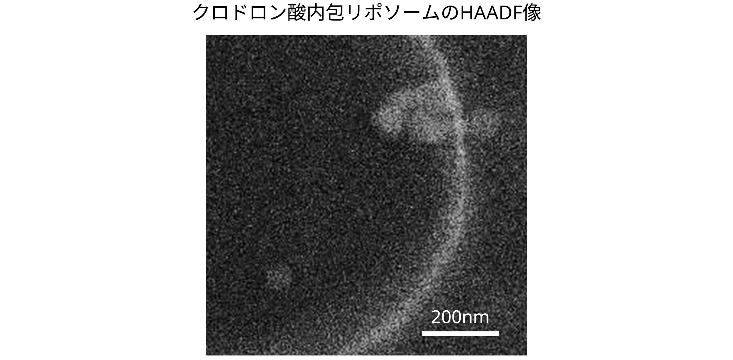 クロドロン酸内包リポソームのHAADF像