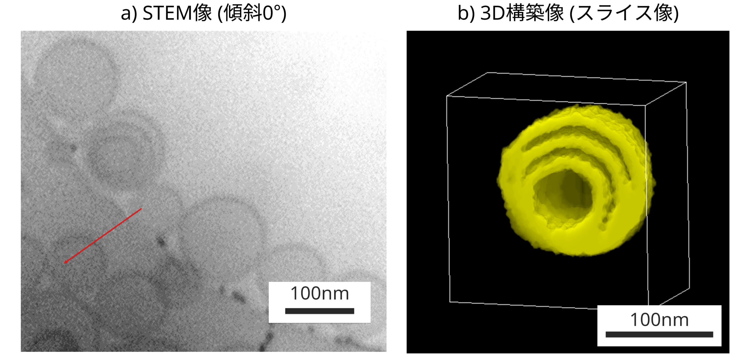 クロドロン酸リポソームのSTEM像とCryo-3D-STEM像