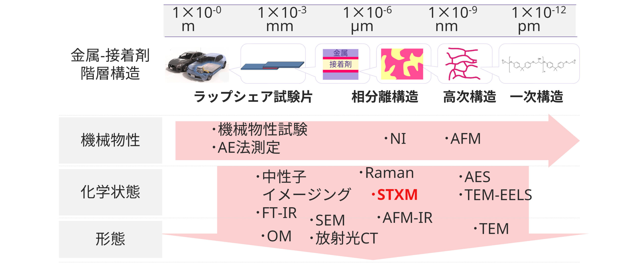 STXM