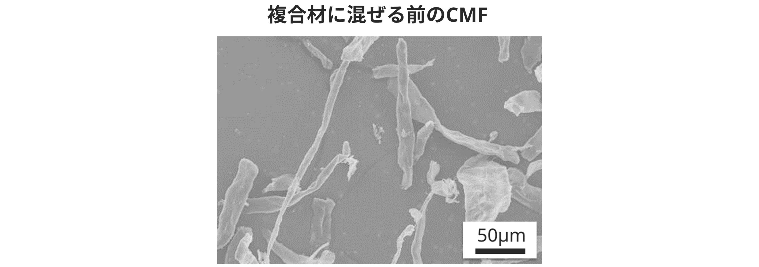 CMF 天然繊維 複合材