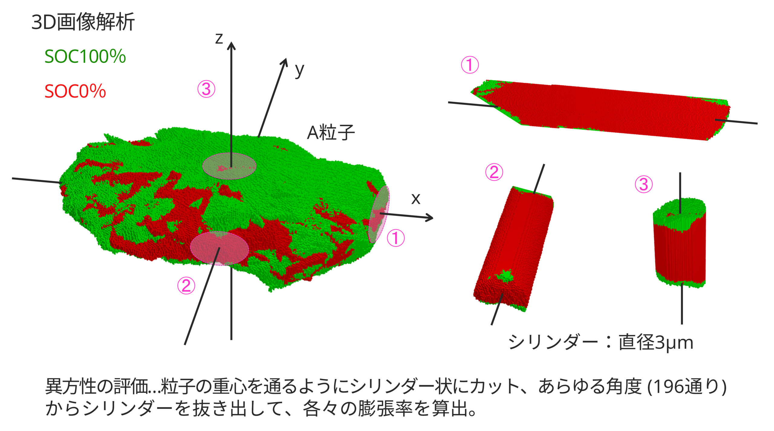 3D 解析 膨張 収縮 放射光 マルチスケール CT リチウムイオン 電池 活物質 異方性