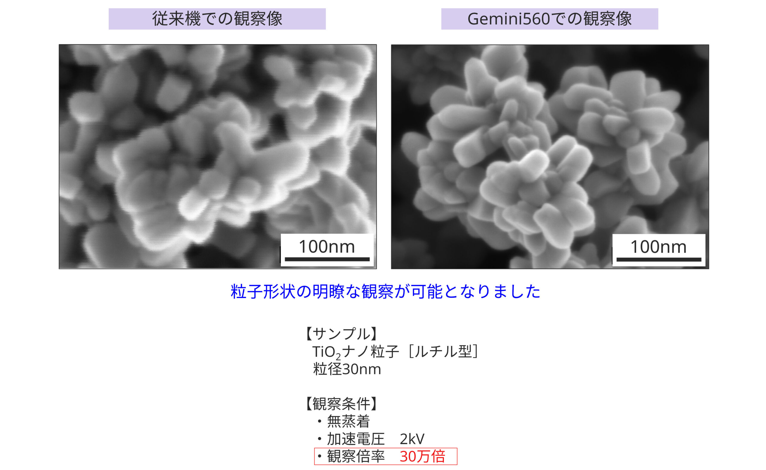 TiO2 セパレータ SEM 観察像