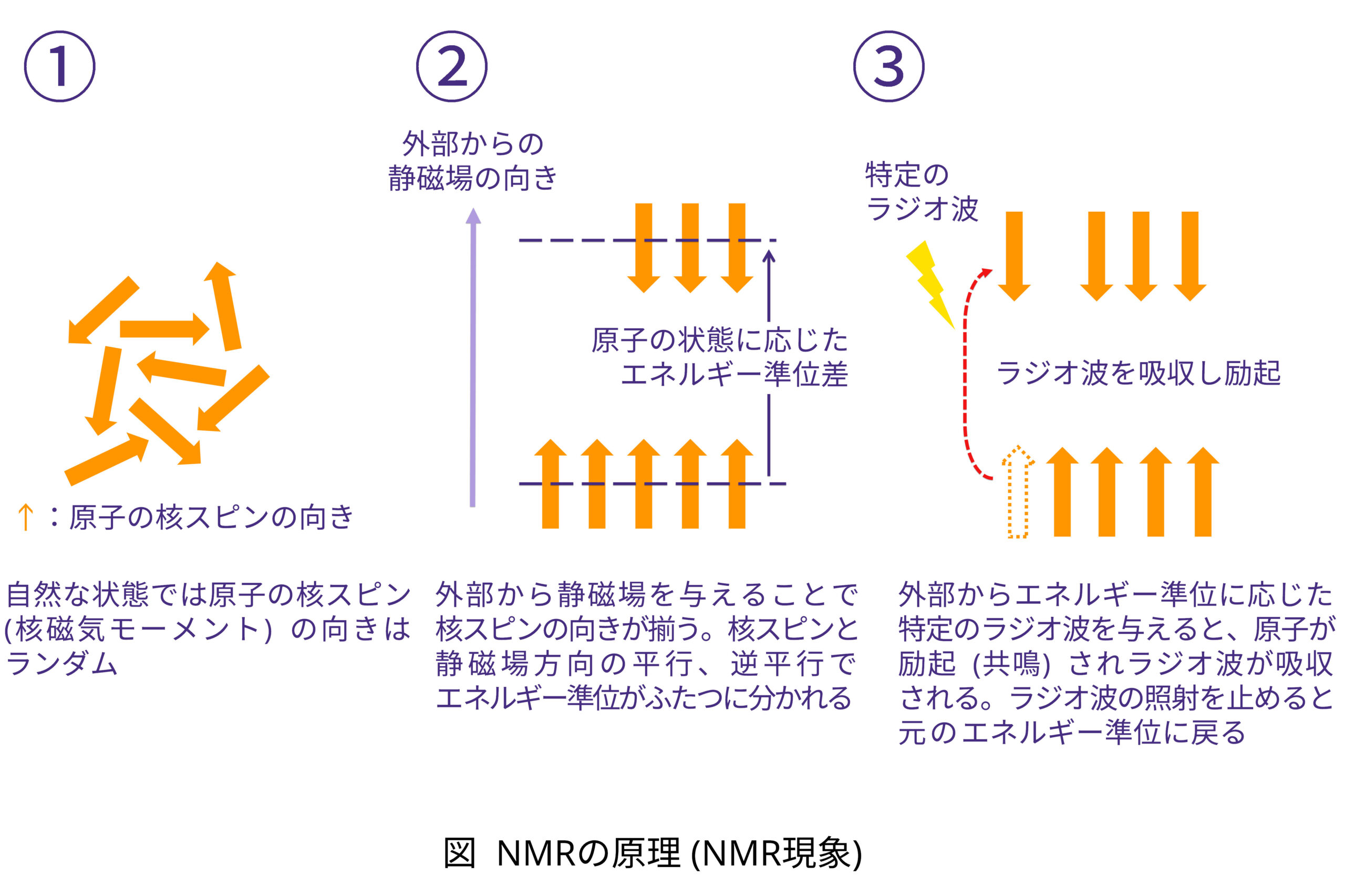 NMRの原理