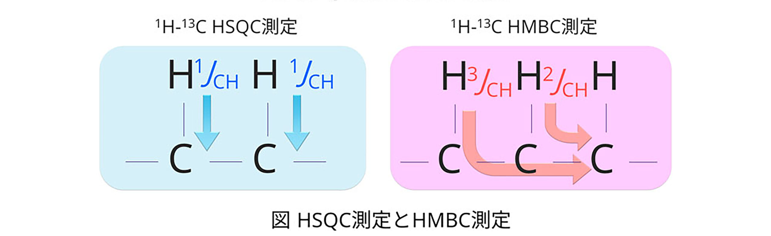 HSQC測定とHMBC測定